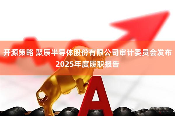 开源策略 聚辰半导体股份有限公司审计委员会发布2025年度履职报告