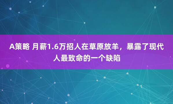 A策略 月薪1.6万招人在草原放羊，暴露了现代人最致命的一个缺陷