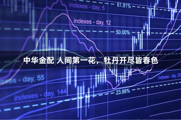 中华金配 人间第一花，牡丹开尽皆春色