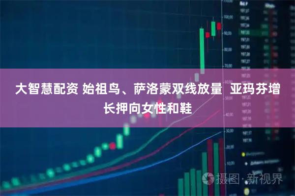 大智慧配资 始祖鸟、萨洛蒙双线放量  亚玛芬增长押向女性和鞋