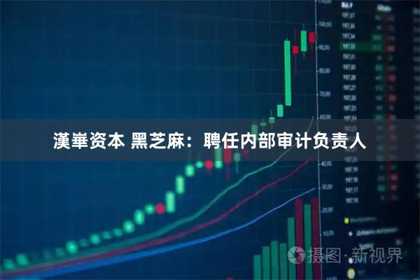 漢崋资本 黑芝麻：聘任内部审计负责人