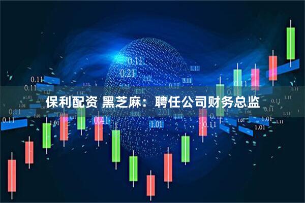 保利配资 黑芝麻：聘任公司财务总监